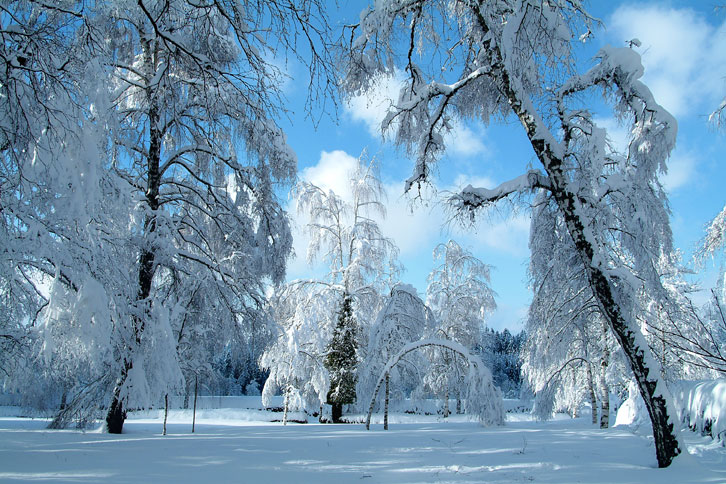 Winterlandschaft in Finsterau im Bayerischen Wald 